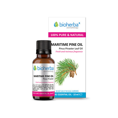 Aceite esencial de pino marítimo