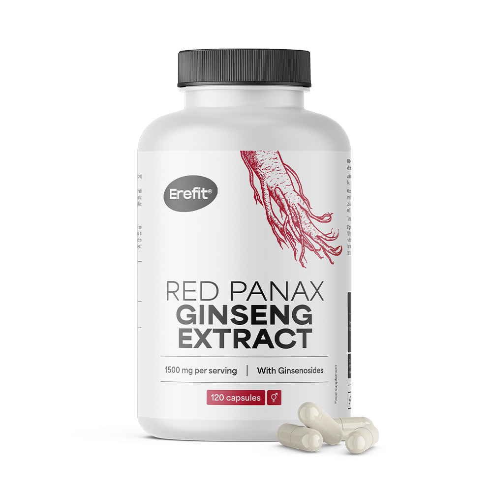 Ginseng rojo Panax.