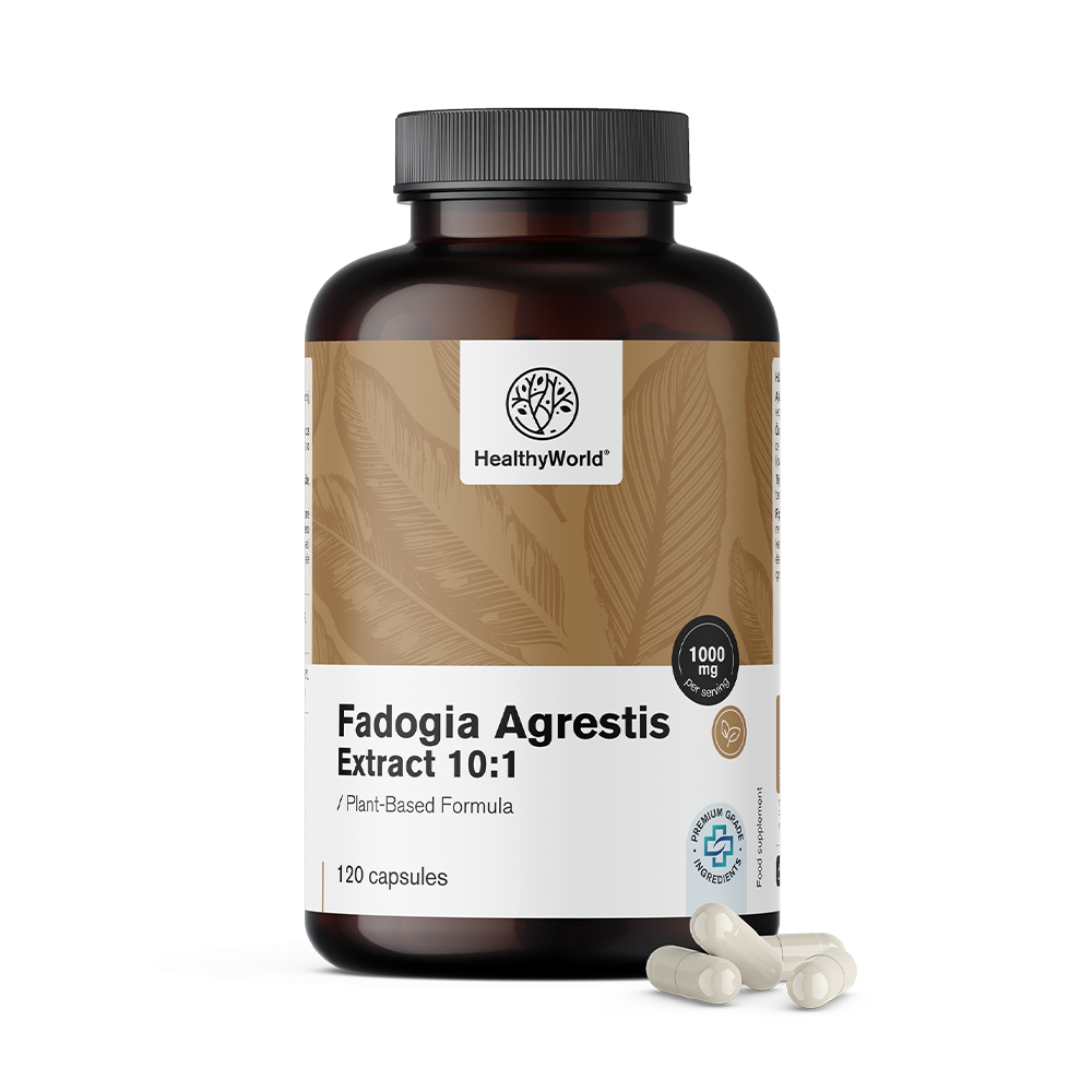 Fadogia Agrestis 1000 mg en cápsulas.