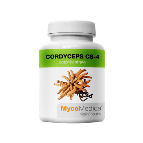 Hongo Cordyceps CS-4