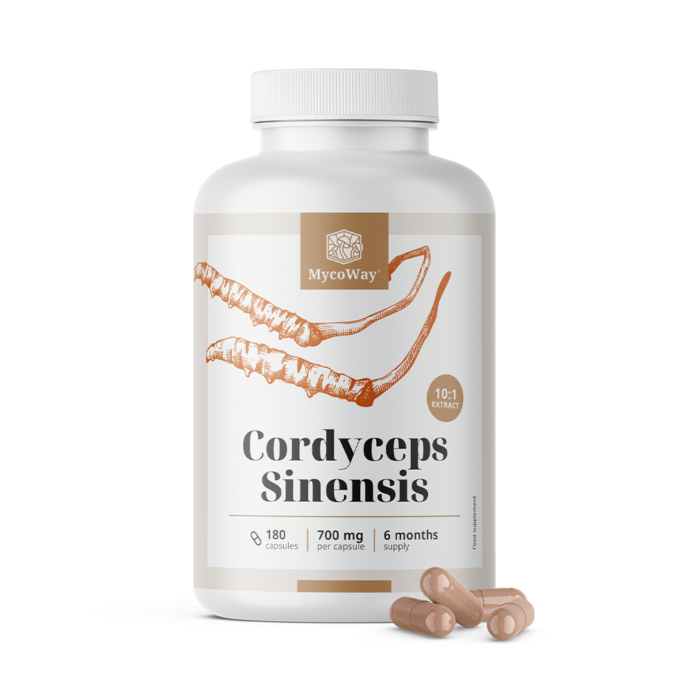 Cordyceps sinensis 1400 mg - extracto 10:1