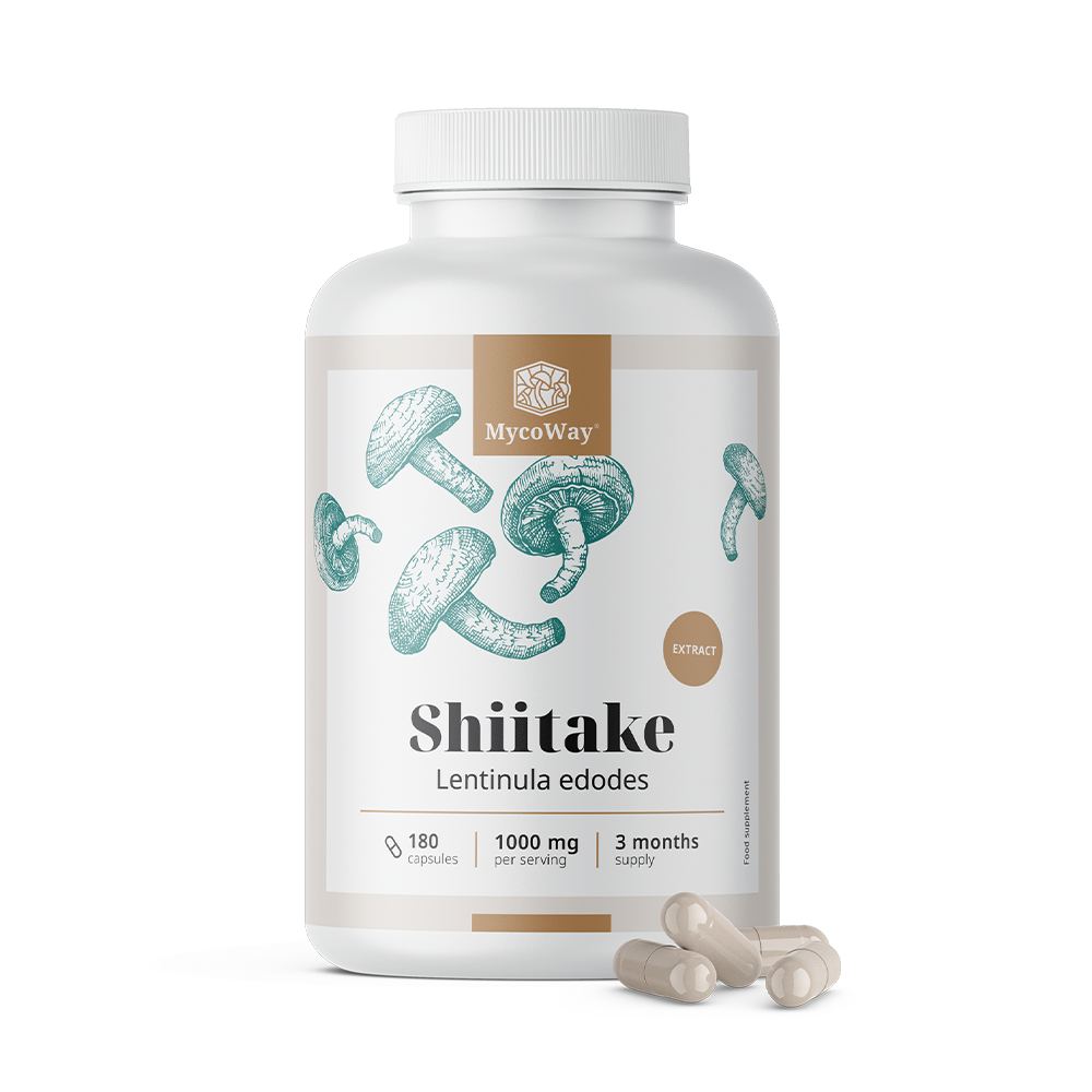 Shiitake 1000 mg - extracto