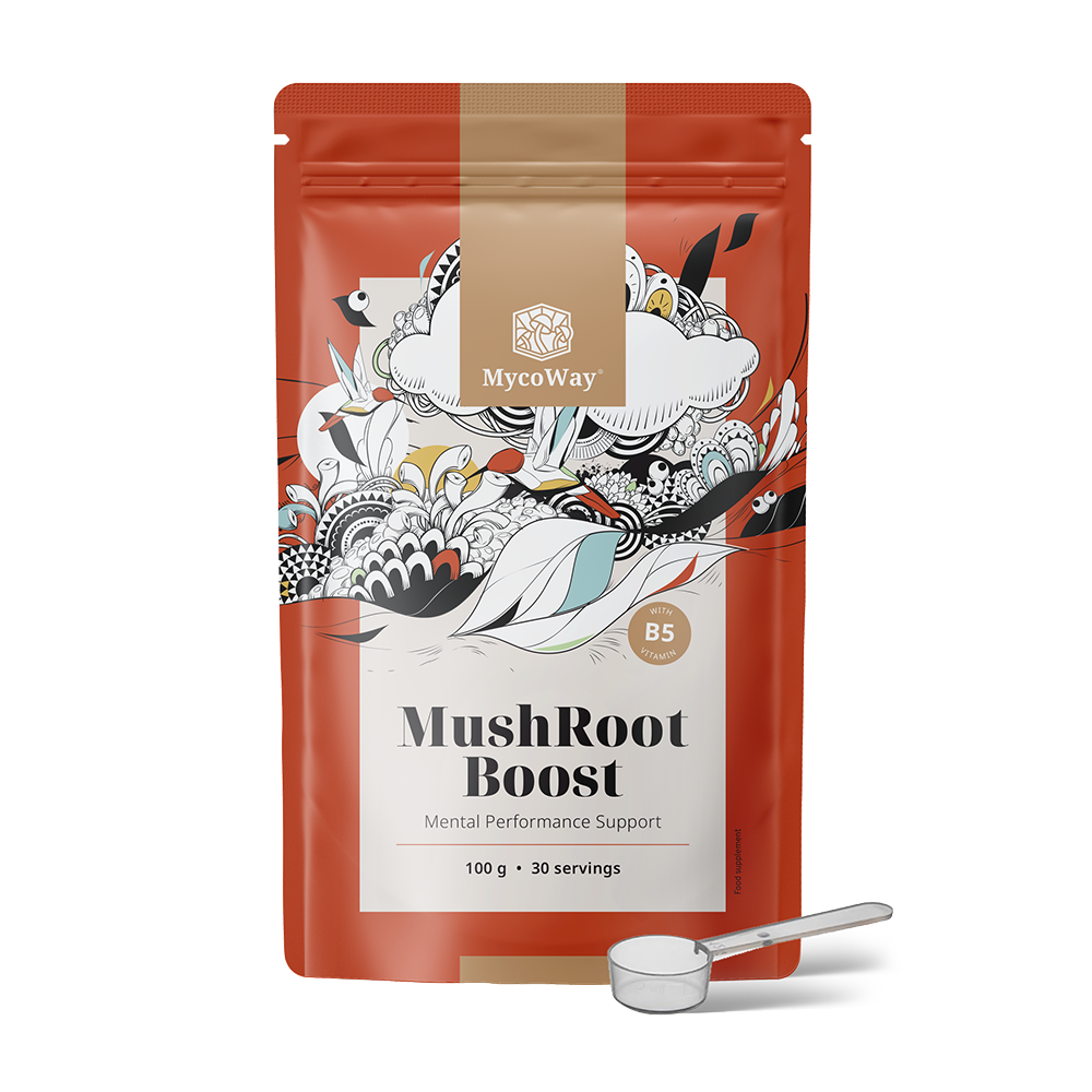 MushRoot Boost - bebida para mejorar la capacidad mental