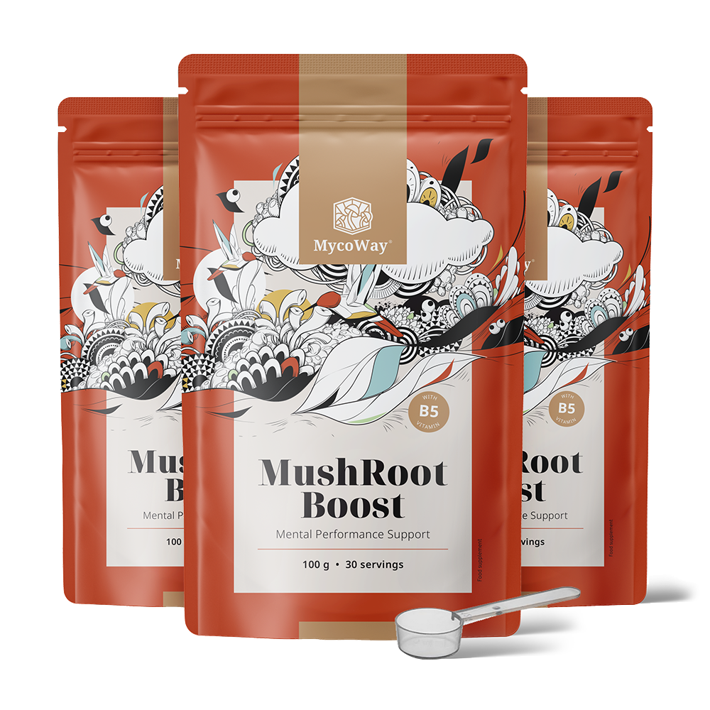 MushRoot Boost - bebida para mejorar la capacidad mental