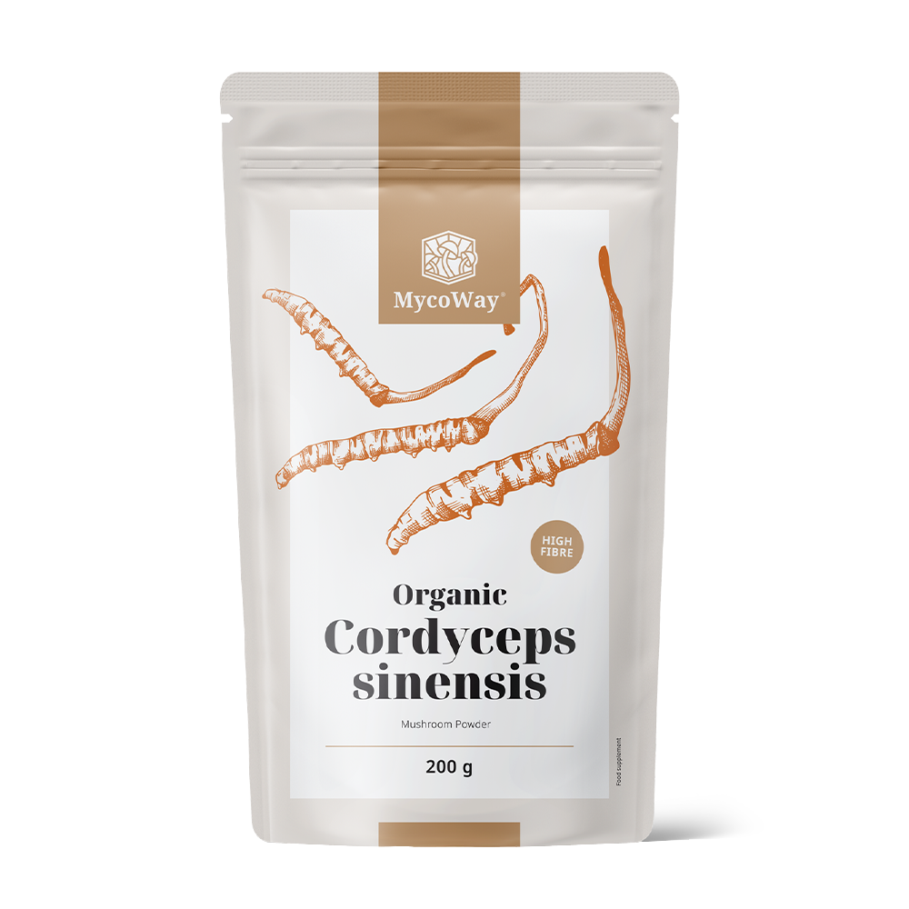 BIO Cordyceps sinensis en polvo