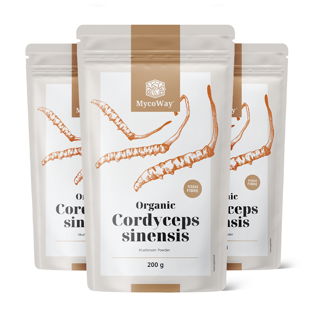 BIO Cordyceps sinensis en polvo